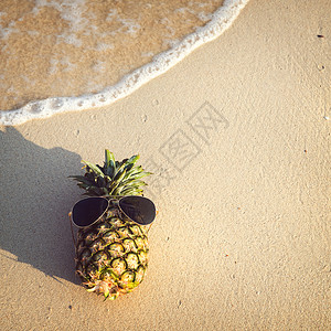沙滩上的海马菠萝夏天时尚古图片