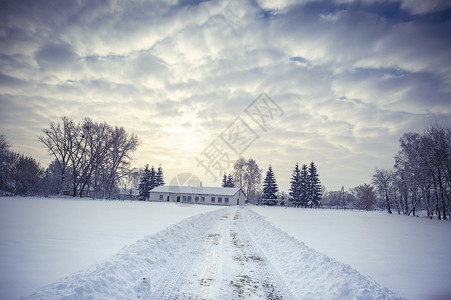 雪下的道路下雪的冬天图片