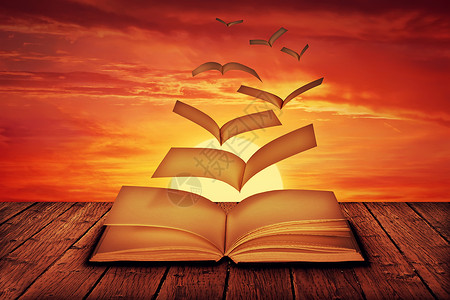 无的白页飞出一本书变成神奇的鸟在日落的背图片