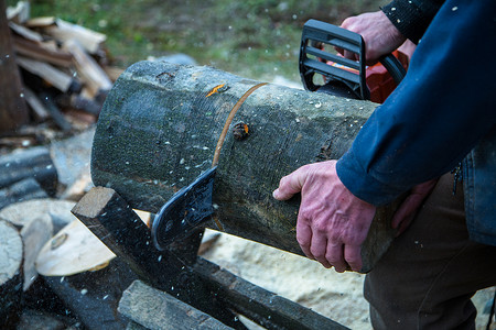 为冬天采伐木材电锯砍树图片