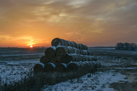 冬季风景以观察日落和雪地上的稻草圈图片