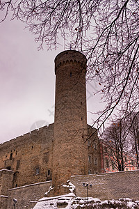 PikkHermann或Tall是Toompea城堡的塔楼图片
