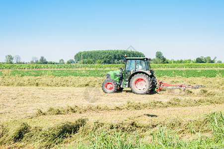 农业工作干草拖拉机与Tedding设备图片