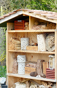 野生独养蜜蜂和其他昆虫的昆虫旅馆图片
