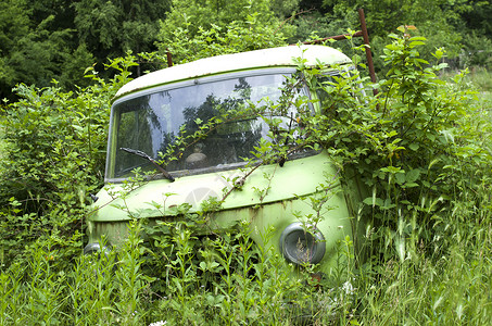 草地上废弃的杂草丛生的旧车图片