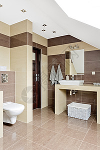 现代宽敞棕色浴室的照片图片