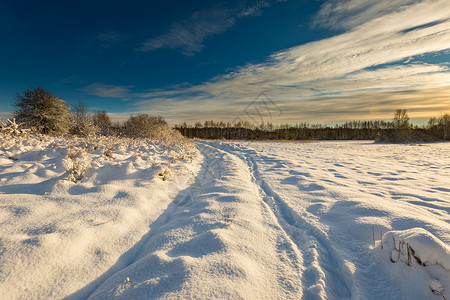 美丽的冬季田地道路和树木景观雪覆图片