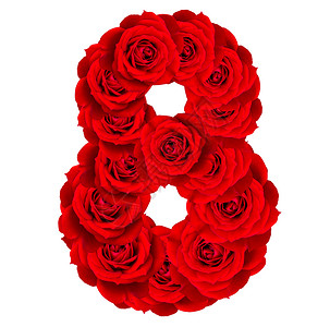 8号红玫瑰由花朵红玫瑰制成在白图片