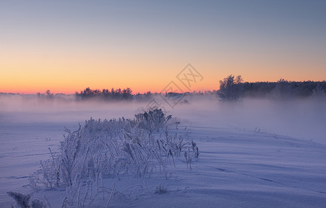 朦胧的冬日黎明五颜六色的圣诞背景寒图片