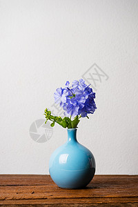 木制桌上的花瓶中的蓝李花铅华氏图片
