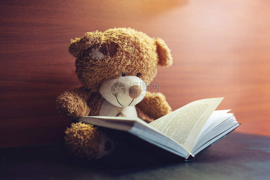 玩具熊在读一本有趣的书图片