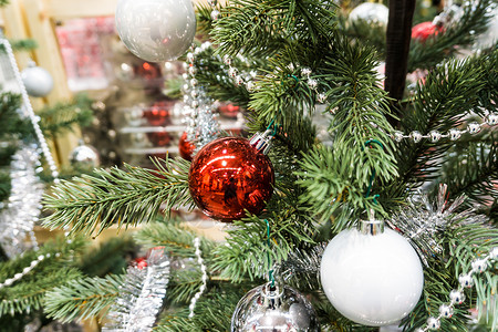 冬季派对节日晚会圣诞树和喜酒图片