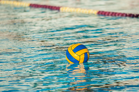 漂浮在游泳池中的水球比赛球图片