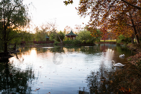 美丽的秋天风景图片