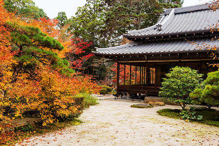 日本京都Tenjuan寺庙建筑拥有美图片