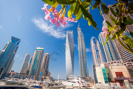 迪拜Marina在阿拉伯联合酋长图片