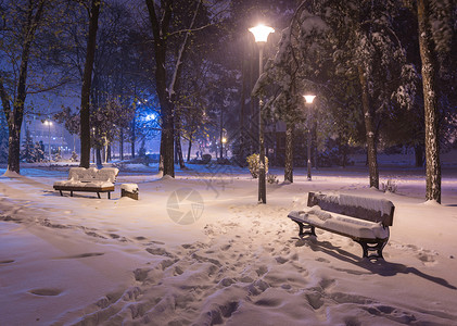 冬季夜景冬季木下的长凳和冬季飘落的雪花下闪亮的空旷的夜公园里飘着雪图片