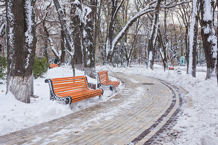城市公园小巷里有长椅的冬季景观图片