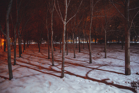 冬季城市公园的夜间图片