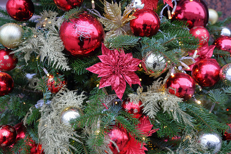 圣诞树配有装饰品图片