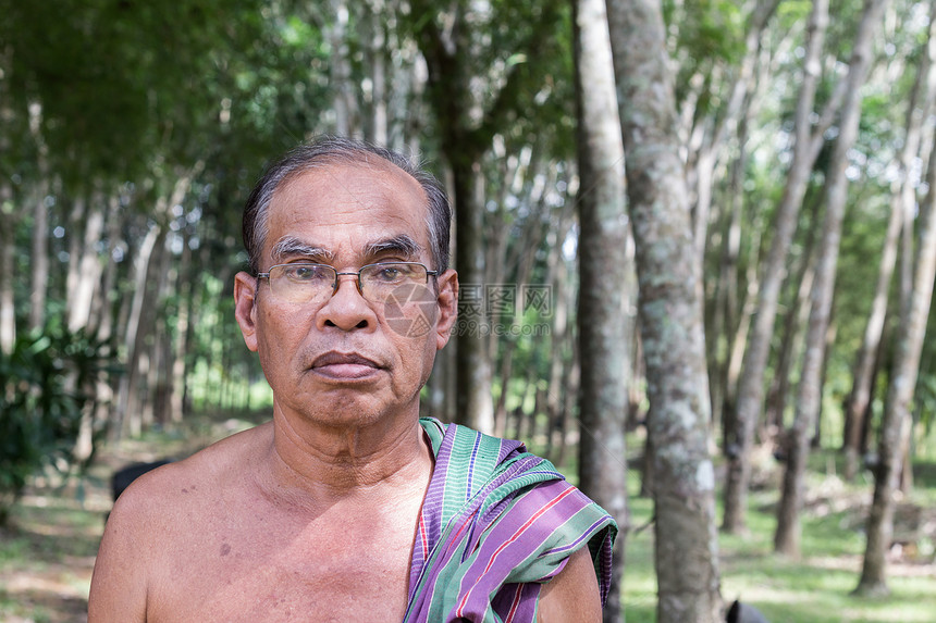 泰国年老的园丁男子在橡胶树花园里站图片