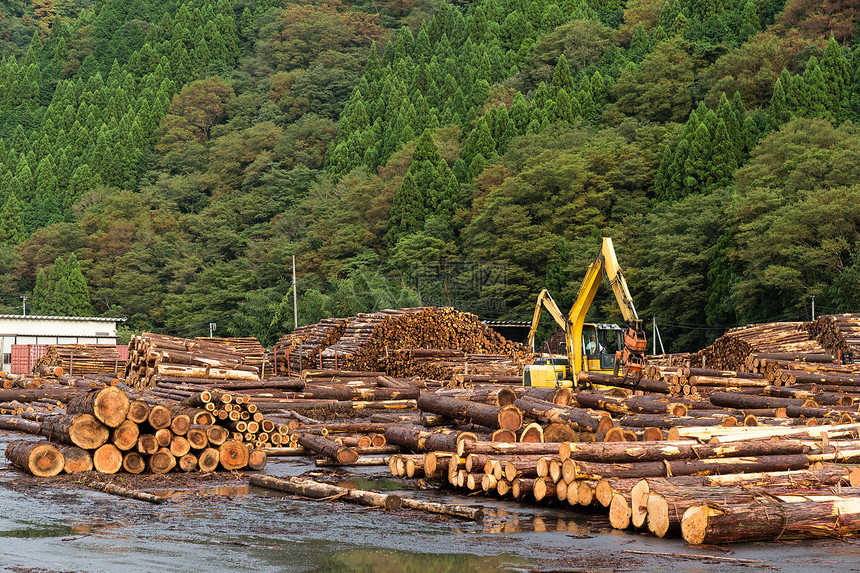 森林附近河流上的木材工业图片