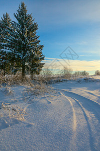 与天空太阳和森林的冬季雪景图片
