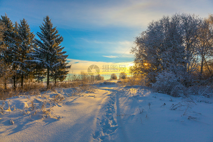与天空太阳和森林的冬季雪景图片