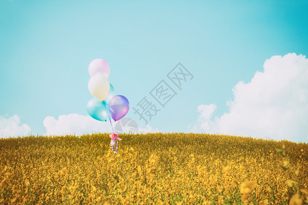 黄色花朵上方的多彩气球蓝色天空背图片