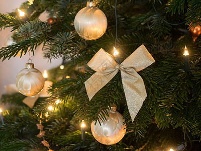 德国christmans的圣诞树背景图片