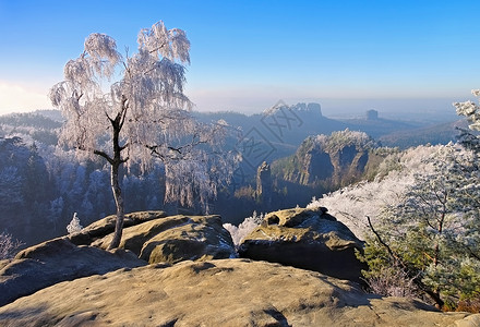 易北河砂岩山在冬天和白霜图片