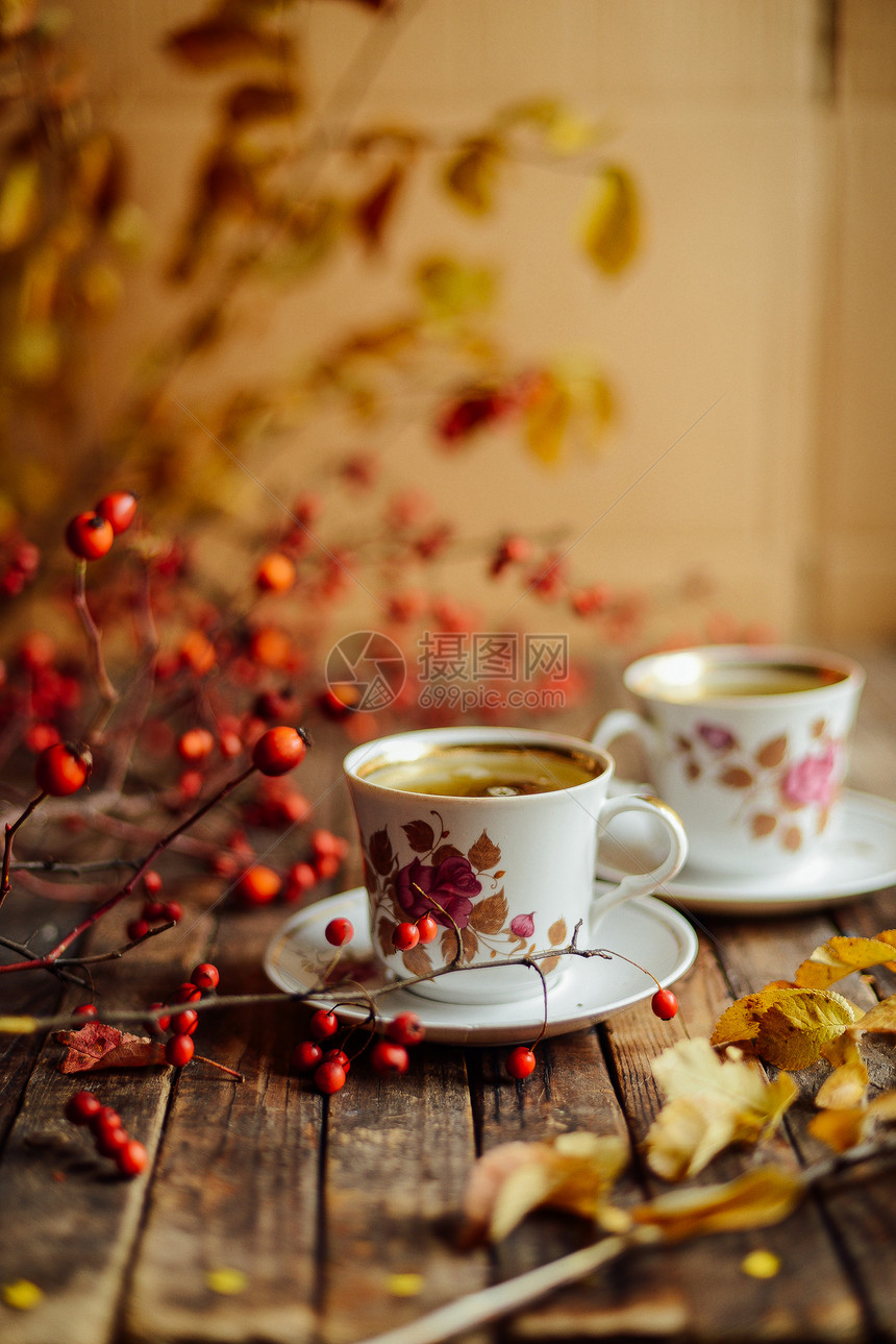 质朴别致的茶会绿茶杯碟茶壶糖碗套装茶具健康凉茶壶图片
