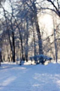 冬季公园或森林的模糊背景图片