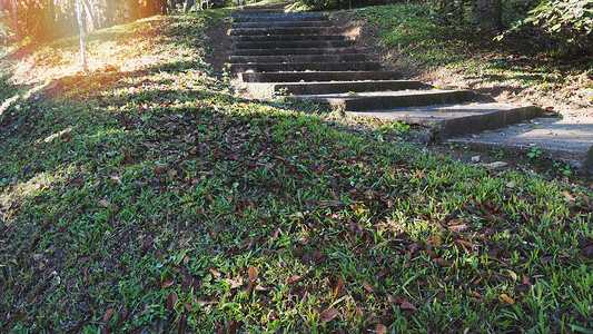 清晨在公园的楼梯绿色草地和楼图片
