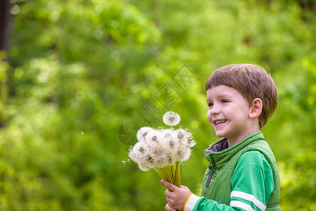 有趣的可爱男孩在温暖和阳光明媚的夏日与花朵玩得开心图片