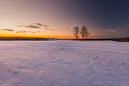 在日落的田地景观之后美丽的冬天冬季欧洲旷野长图片