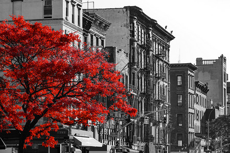 纽约州纽约市曼哈顿东村第二大道二街的黑白纽约市街头图片