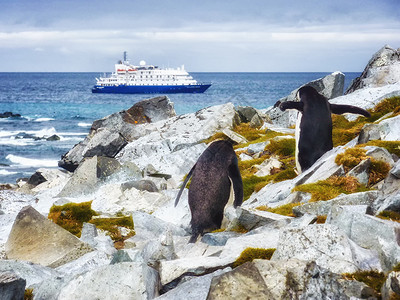 南极洲游轮和企鹅Pygoscelisancontra图片