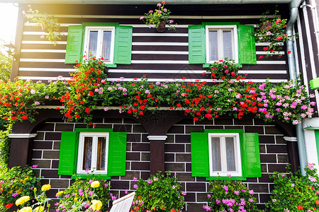 绿窗百叶窗的美丽四扇窗户装饰着多彩花朵图片