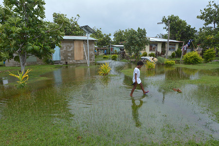 斐济被洪水淹没的土地上的土著斐济女孩2016年2月图片