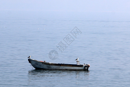 加利海岸的一艘渔船图片