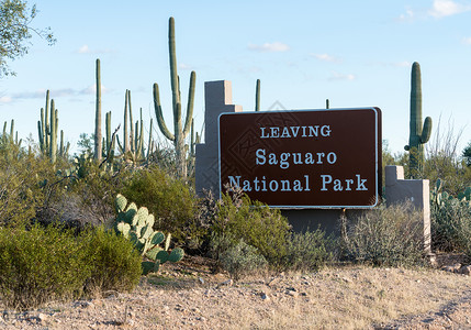 亚利桑那州图森附近公园西侧出口标志附近的数千座瓜图片