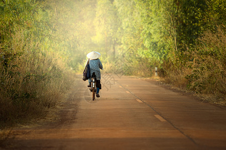 亚洲背面越南妇女骑自行车图片