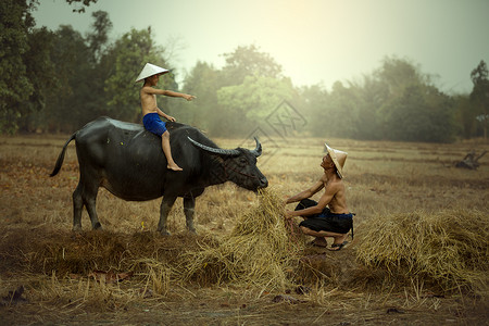 泰国农民家庭父亲和儿子的图片