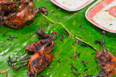 用木炭烤的鹌鹑或鹌鹑是泰国街头食品市场鸟类出图片