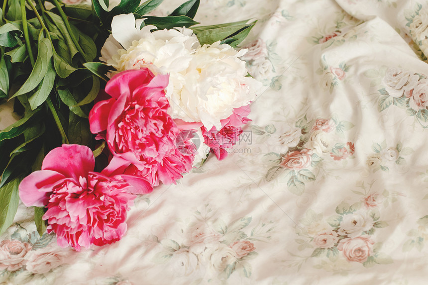 清晨花卉床上的美丽多彩的花束甜蜜的浪漫时刻图片
