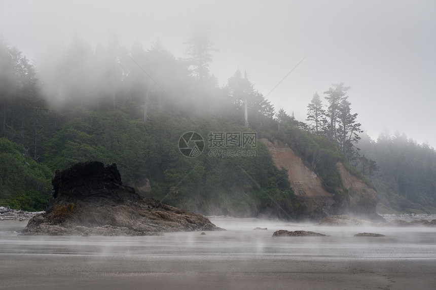 美国华盛顿州奥运公园露比海滩浓雾的风景图片