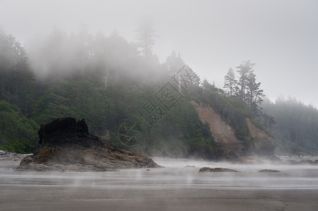 美国华盛顿州奥运公园露比海滩浓雾的风景图片