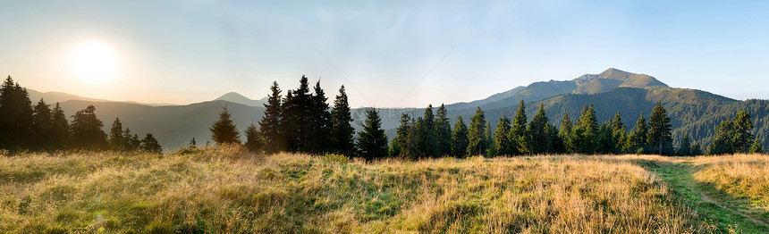 山丘森林和松树的日落全景图片