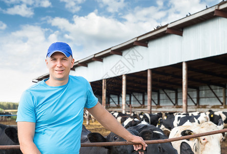 以农场奶牛为背景的农民肖像图片